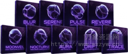 [9个全新的情感 RnB 样本集合]Cymatics GRAVITY LAUNCH EDITION [WAV, MiDi]（1.71GB）