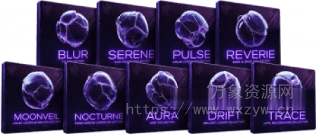 [9个全新的情感 RnB 样本集合]Cymatics GRAVITY LAUNCH EDITION [WAV, MiDi]（1.71GB）