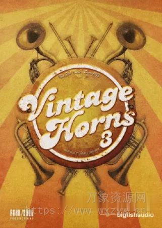 [复古爵士圆号独奏音源]Big Fish Audio Vintage Horns 3 [KONTAKT]（2.95GB）