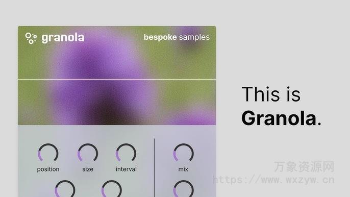 [颗粒延迟效果器]Bespoke Samples Granola RETAiL [WiN, MacOSX]（41MB）