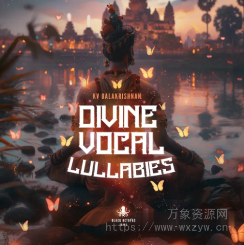 [电影多风格印度古典人声采样包]Black Octopus Sound Divine Vocal Lullabies by KV Balakrishnan [WAV]（2.06GB）