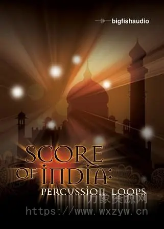 [民族电影打击乐素材]Big Fish Audio Score of India Percussion Loops [多格式]（1.44GB）