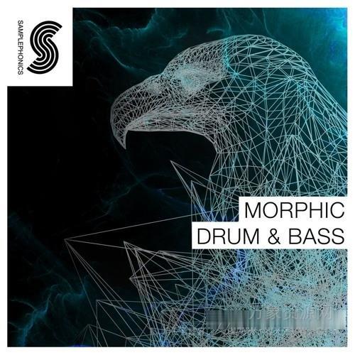 [鼓打贝斯素材]Samplephonics Morphic Drum and Bass [多格式]（461MB）