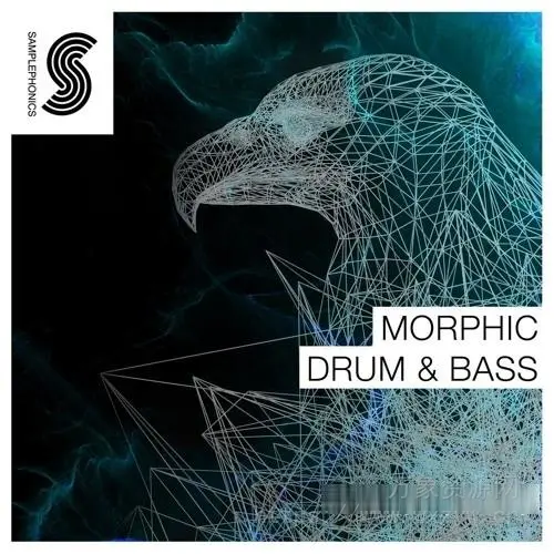 [鼓打贝斯素材]Samplephonics Morphic Drum and Bass [多格式]（461MB）