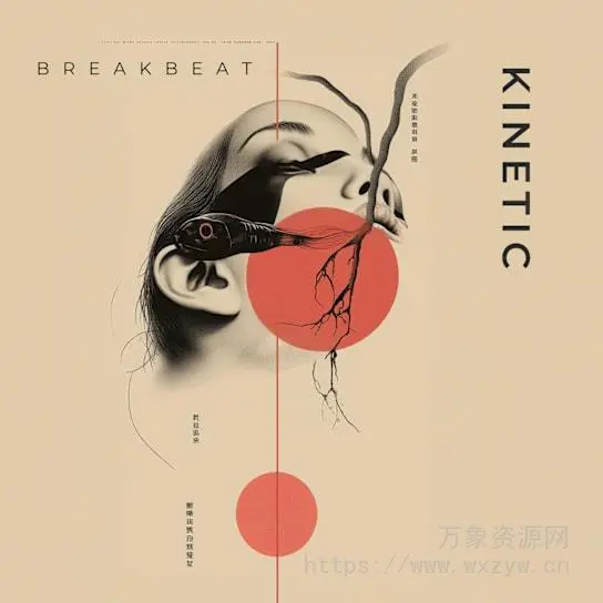 [鼓打贝斯采样]Zenhiser Kinetic Breakbeat [WAV]（972.2MB）