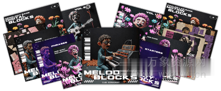 [制作专业级旋律的必备工具包]Club Experiment Melody Blocks [WAV, MiDi, Synth Presets]（680MB）