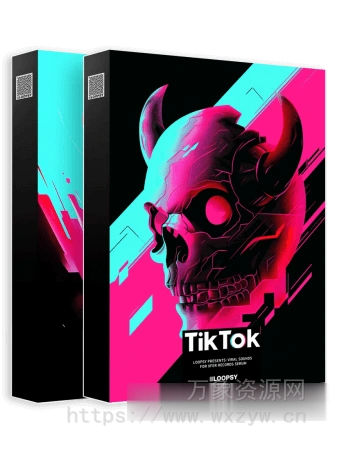 [抖音热门歌曲浩室MiDi素材Serum预置]Loopsy TIK TOK Bundle Viral [MiDi, Synth Presets]（44MB）