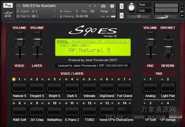 [雅马哈键盘音源]Júnior Porciúncula Yamaha S90 ES v1.6 [KONTAKT]（1.22GB）