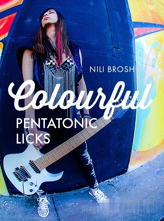 [五声音阶乐句教程]JTC Guitar Nili Brosh 20 Colourful Pentatonic Licks [TUTORiAL]（972.95MB）
