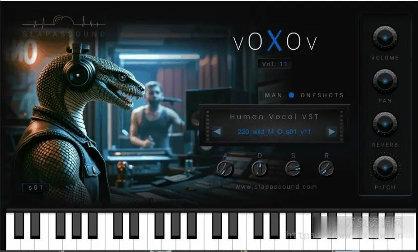 [歌声乐器插件] SlapAsSound VoXov Vol.11 (Vocal Instruments) VST VST3 AU [WiN, MacOSX]（239MB）