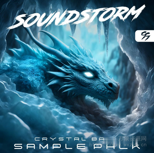 [回响重拍采样]Soundstorm 2024 Crystal Bass Sample Pack [WAV]（913MB）