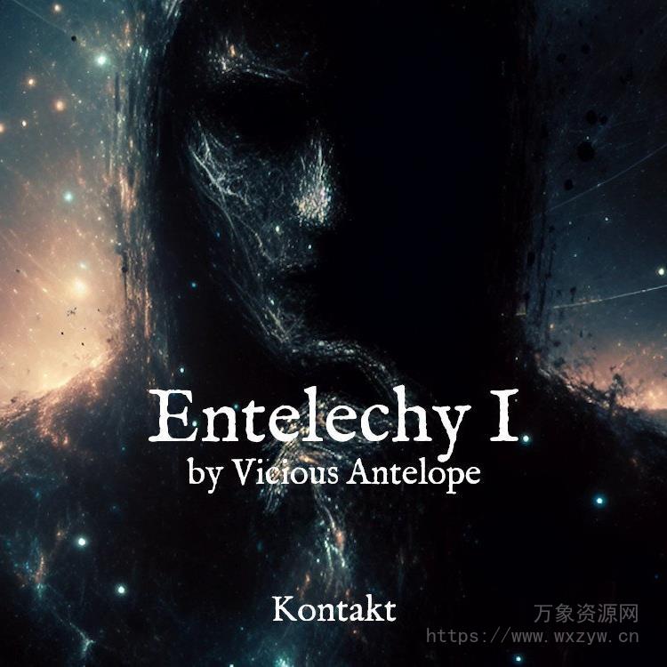 [音景音源]Vicious Antelope Entelechy [KONTAKT]（722MB）