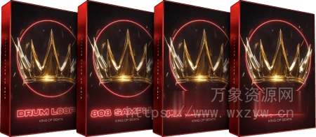 [嘻哈旋律LOOP采样]Cymatics King of Beats 2025 Hip-Hop Edition [WAV, MiDi]（989MB）