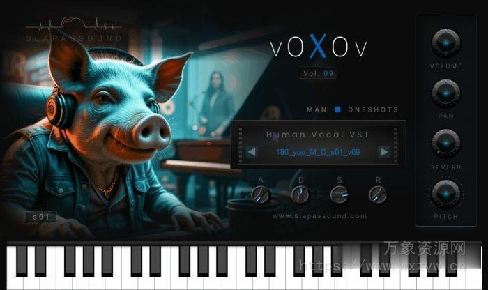 [歌声乐器插件]SlapAsSound VoXov Vol.9 (Vocal Instruments) VST VST3 AU [WiN, MacOSX]（244MB）