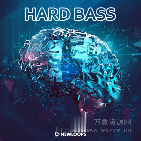 [综合电子乐现代硬贝斯采样音源]New Loops Hard Bass [WAV, KONTAKT]（78.6MB）