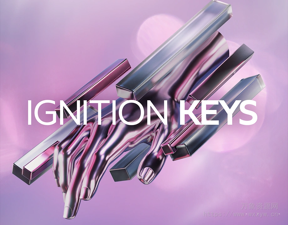 [闪亮键盘音色]Native Instruments Ignition Keys v2.0.1 [KONTAKT]（1.54GB）