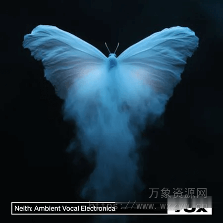 [氛围电子人声采样]VOX Neith: Ambient Vocal Electronica [WAV]（662MB）