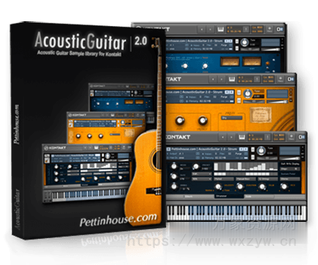 [原声木吉他音源]Pettinhouse Acoustic Guitar 2 v2.1 [KONTAKT]（3.25GB）