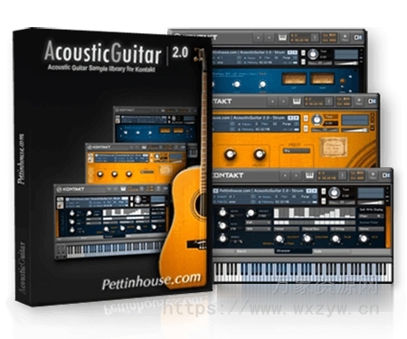 [原声木吉他音源]Pettinhouse Acoustic Guitar 2 v2.1 [KONTAKT]（3.25GB）