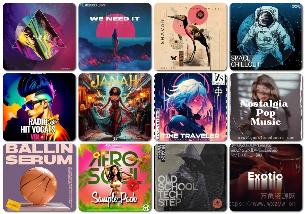 [EDM多风格采样包合集]SAMPLE PACK BUNDLE 2025.5（26GB+）