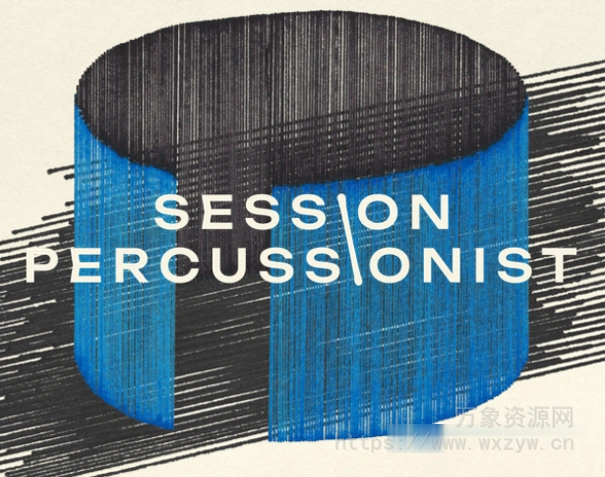 [国风必备小打音色库]Native Instruments Session Percussionist v1.0.1 [KONTAKT]（5.87GB）
