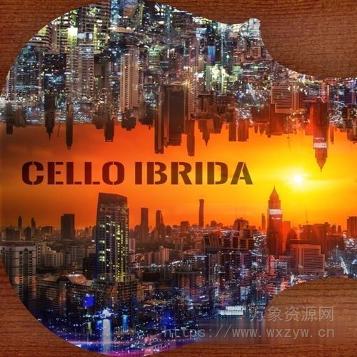 [大提琴音源]PulseSetter Sounds Cello Ibrida [KONTAKT]（4.21GB）