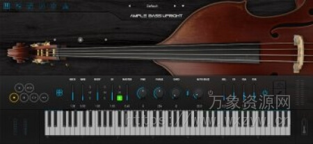[立式贝斯乐器] Ample Sound Ample Bass Upright v4.01 [WiN, MacOSX] [WiN, MacOSX]（3.74GB）