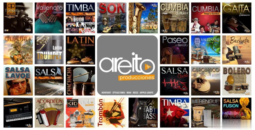 [Areito Producciones厂牌EDM多风格采样乐器合集]Areito Producciones Bundle 2025 [多格式]（6.01GB）