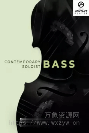[管弦乐贝斯纹理音源]Sonixinema Contemporary Soloist Bass v1.0.1 [KONTAKT]（7.27GB）