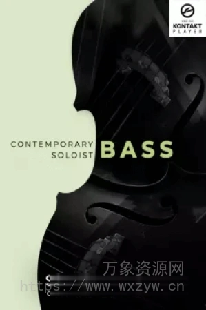 [管弦乐贝斯纹理音源]Sonixinema Contemporary Soloist Bass v1.0.1 [KONTAKT]（7.27GB）