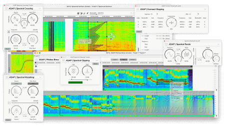 [黑科技：音频处理插件套装]Ircam Lab ASAP v2.0.0 [WiN]（889.04MB）