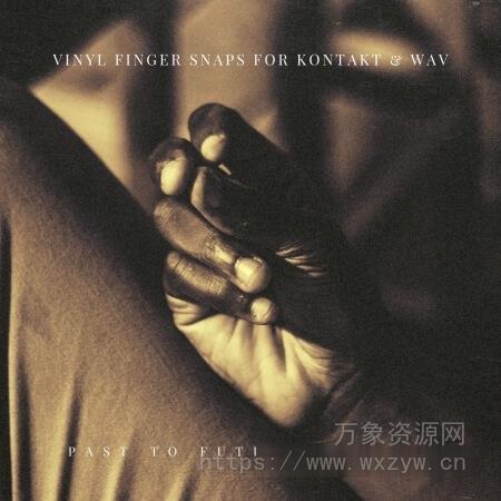 [手指弹响采样音源]PastToFutureReverbs Vinyl Finger Snaps [KONTAKT, WAV]（17.63MB）