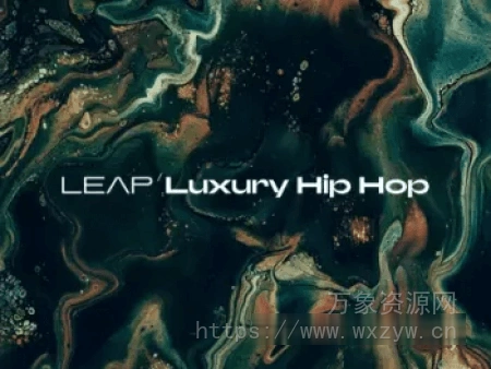[嘻哈管弦乐]Native Instruments Luxury Hip Hop [KONTAKT]（360MB）