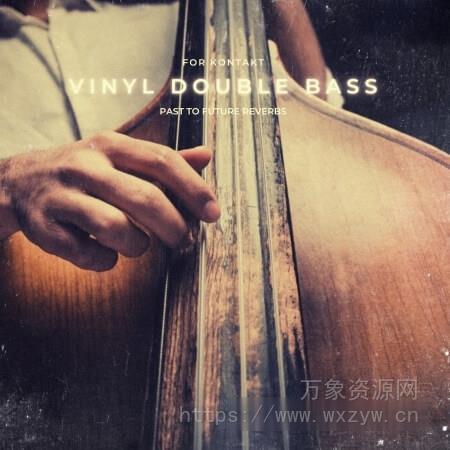 [黑胶唱片采样低音提琴音源]PastToFutureReverbs Vinyl Double Bass For Kontakt! [KONTAKT]（32.49MB）