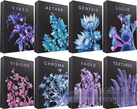 [流行RnB素材]Cymatics VIBES : Premium Sample Collection [WAV, MiDi]（14.7GB）