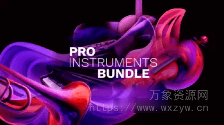 [Steinberg Pro 乐器套装]Steinberg Pro Instruments Bundle（37.62GB）