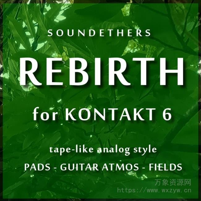 [氛围音源]Soundethers Rebirth Ambient Fields [KONTAKT]（836MB）