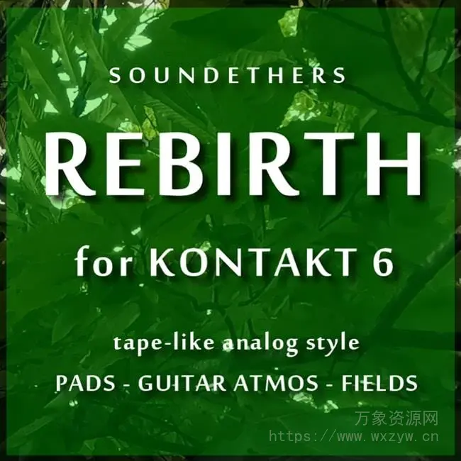 [氛围音源]Soundethers Rebirth Ambient Fields [KONTAKT]（836MB）