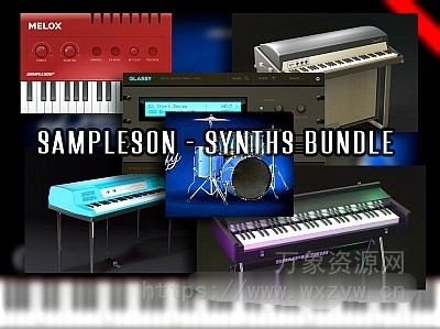 [13种Sampleson虚拟乐器捆绑包]Sampleson Synths Bundle [WiN, MacOSX]（2.04GB+）
