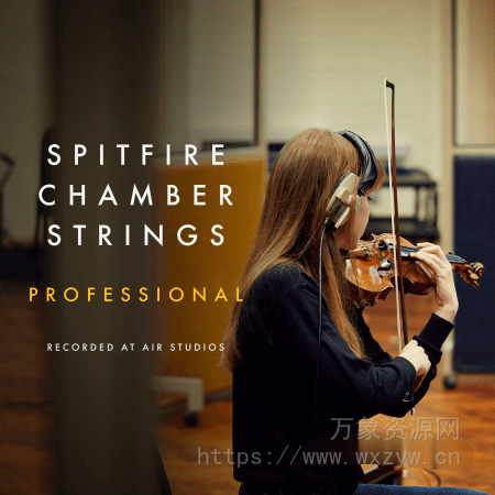 [更新：经典喷火弦乐专业完整版]Spitfire Audio Spitfire Chamber Strings Professional v1.4.1b94 [KONTAKT]（219.13GB）