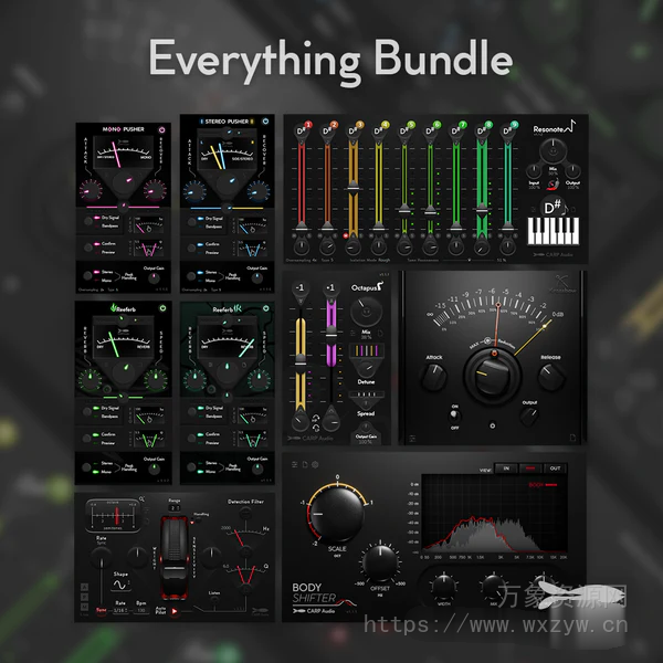 [CARP Audio插件捆绑包]CARP Audio Everything Bundle 2025-02 [WiN]（115MB）