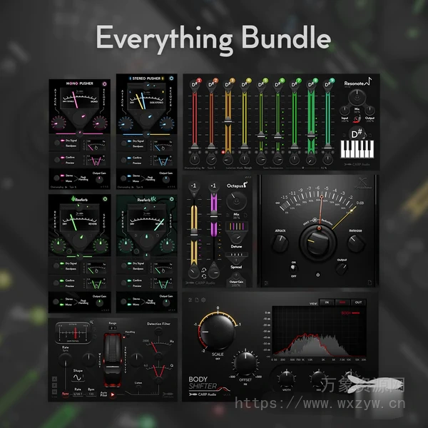 [CARP Audio插件捆绑包]CARP Audio Everything Bundle 2025-02 [WiN]（115MB）