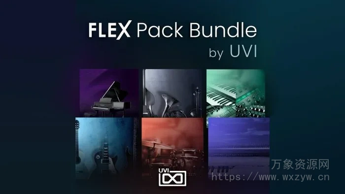 [6个全新FLEX预设扩展包]Image-Line FLEX Pack Bundle by UVI v2025.02 UNLOCKED [Synth Presets]（5.35GB）