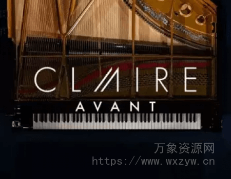 [前卫三角钢琴音色]Native Instruments Claire Avant v1.0.0 [KONTAKT]（29.09GB）
