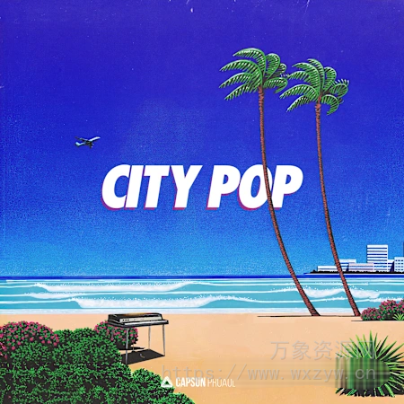 [氛围流行迪斯科放克采样]Capsun ProAudio City Pop [WAV]（1.18GB）
