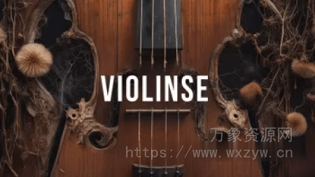 [Padshop扩展小提琴]Steinberg Violinse [Synth Presets] (139MB）