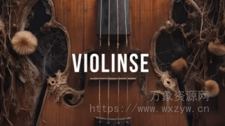 [Padshop扩展小提琴]Steinberg Violinse [Synth Presets] (139MB）