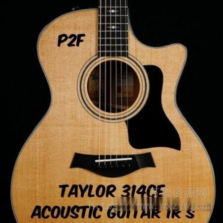 [Impulse Response库]PastToFutureReverbs Taylor 314ce Acoustic Guitar Impulse Responses!（1.31MB）