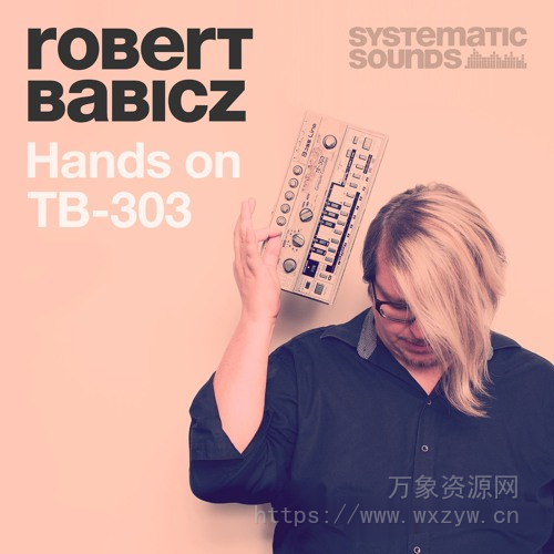 [电子乐素材]Systematic Sounds Robert Babicz Hands On 303 [多格式]（1.23Gb）