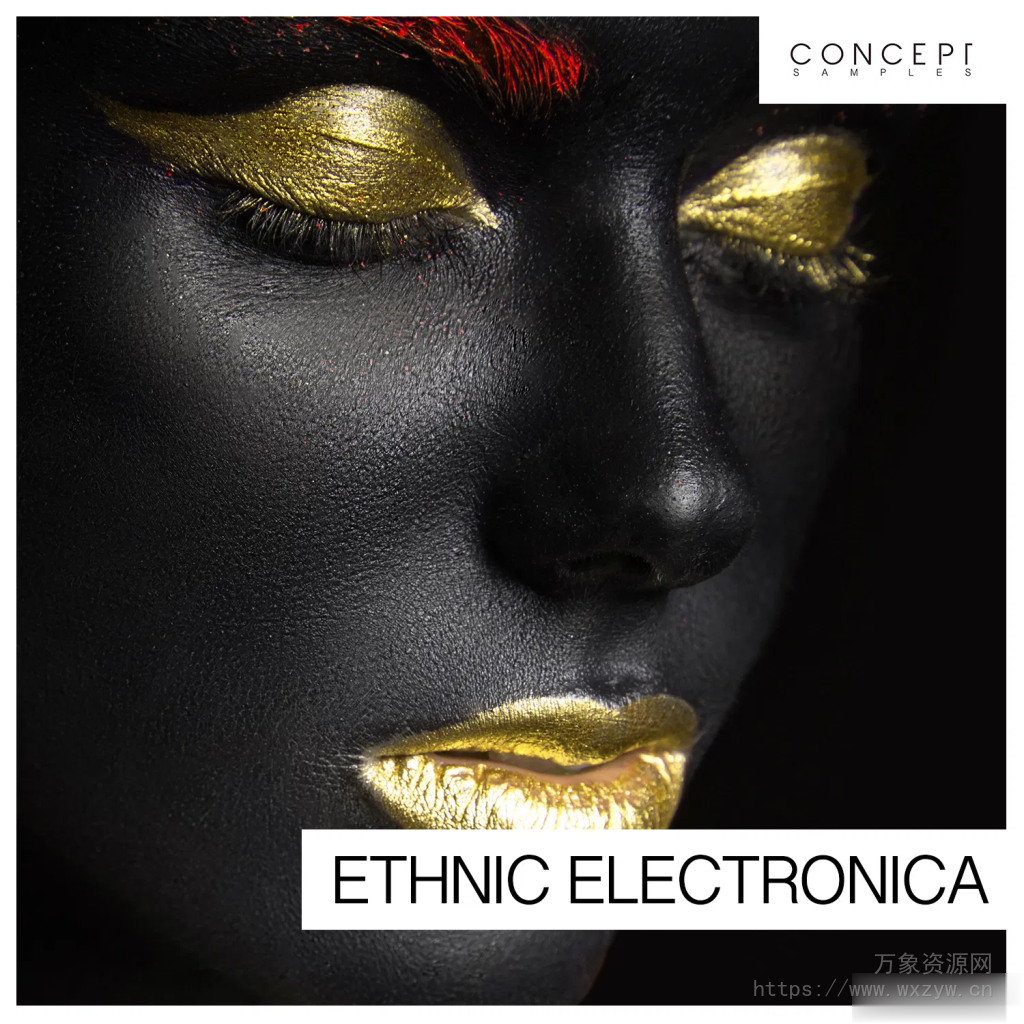 [世界民族风电子采样]Concept Samples Ethnic Electronica [WAV]（154MB）